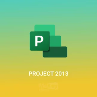 Microsoft Project 2013