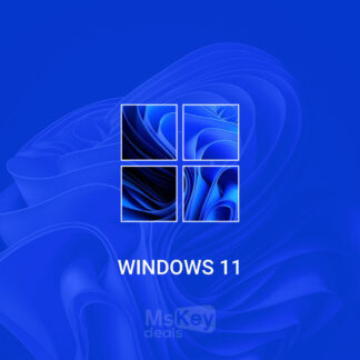 Windows 11